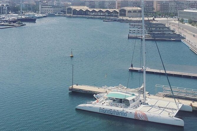 1 Hour Sailing Excursion in Valencia - Price and value: $20 for seating plus bar service