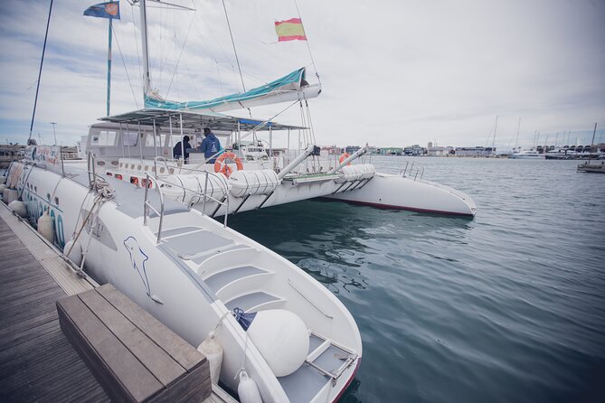 A day at Sea aboard Mundo Marino Catamaran in Valencia - Price and Value: Is $48.59 a Good Deal?