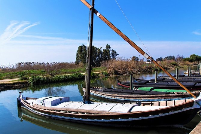 Albufera: Lake, Paella and Birdwatching - Price and what you actually get for $192.66