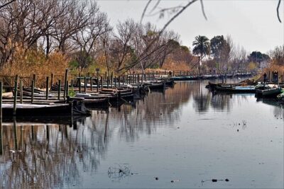 Albufera: Lake, Paella and Birdwatching - Birdwatching at the visitor center: herons, flamingos, and duck sightings