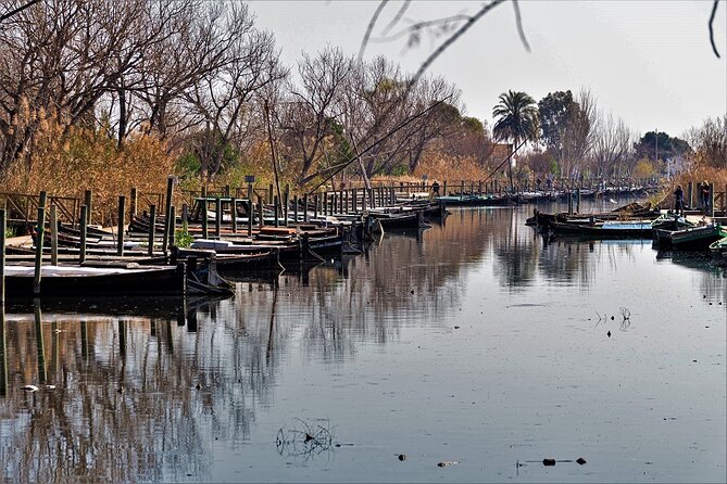 Albufera: Lake, Paella and Birdwatching - Birdwatching at the visitor center: herons, flamingos, and duck sightings