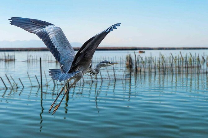 Albufera Natural Park with Sunset Boat Tour from Valencia - Why Albufera at sunset feels different from the city