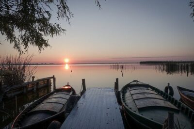 Albufera Natural Park with Sunset Boat Tour from Valencia - Price and value: what you’re really paying for