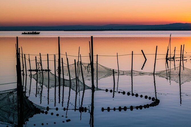Albufera Natural Park with Sunset Boat Tour from Valencia - Stop 2: El Saler Beach—virgin dunes and the Mediterranean reset