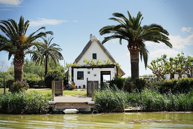 Albufera Natural Park with Sunset Boat Tour from Valencia - Transport details that affect your comfort