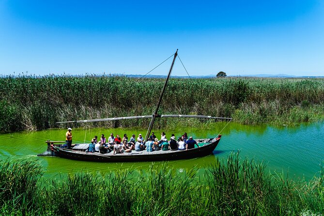 Albufera Private Day Tour: Paella, Boat Cruise and Nature Walk - Stop 4: Torre mirador del Tancat de Mília for birds and wide views