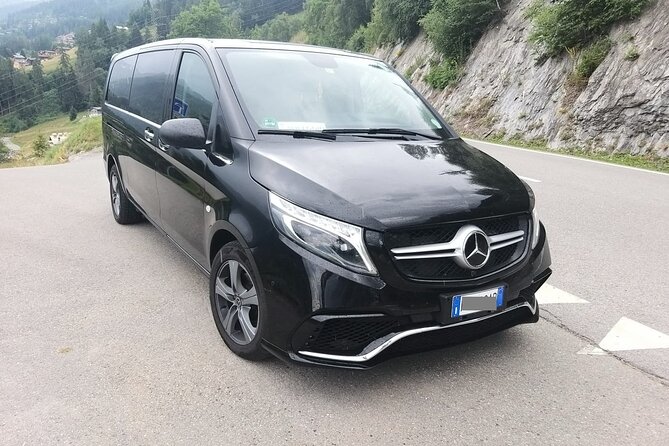 Berlin Airport (BER) to Berlin - Arrival Private Transfer - Who This Transfer Is Best For (and Who Might Skip It)