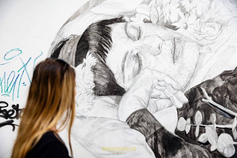 Best Street Art in Valencia Walking Tour - What’s Included (and What You’ll Still Need)
