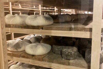 Cheese Factory Workshop with Wine Tasting in Requena, Valencia - The cave visit and the cheese-making process you can actually picture