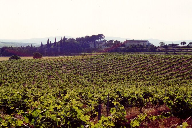 Cheese Factory Workshop with Wine Tasting in Requena, Valencia - Vera de Estenas Winery on the hill: 3 wines plus local cold cuts