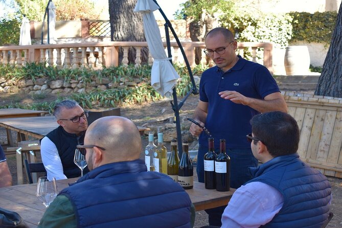 Cheese Factory Workshop with Wine Tasting in Requena, Valencia - Price and logistics: what you’re really paying for