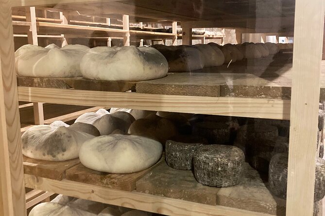 Cheese Factory Workshop with Wine Tasting in Requena, Valencia - The cave visit and the cheese-making process you can actually picture