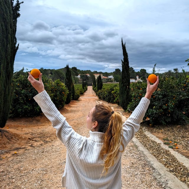 Citrus Treasures: Exploring Valencia's Orange Grove - Valencia Citrus Starts in a 1870 Modernist House