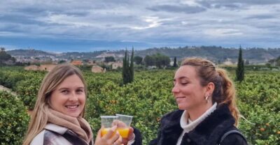 Citrus Treasures: Exploring Valencia's Orange Grove - What You’ll Do in the Orange Garden (and Why It Feels Worth It)