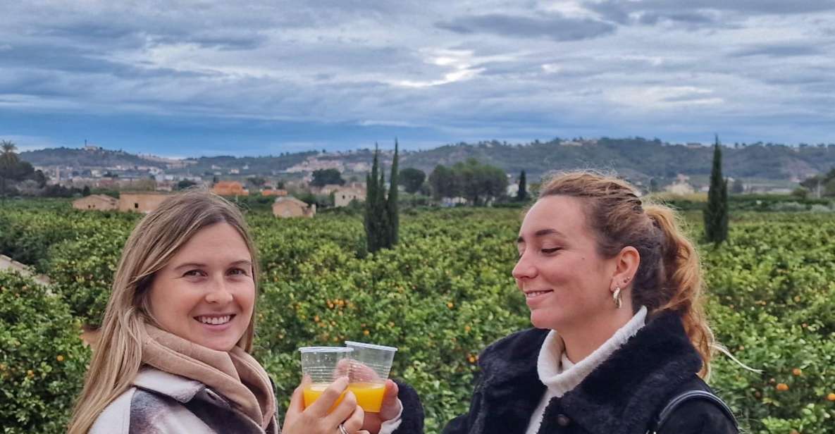 Citrus Treasures: Exploring Valencia's Orange Grove - What You’ll Do in the Orange Garden (and Why It Feels Worth It)