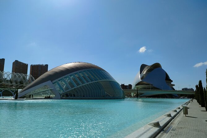 City of Arts and Sciences Bike Tour - Getting Oriented at Jardi del Turia (Turia Park)