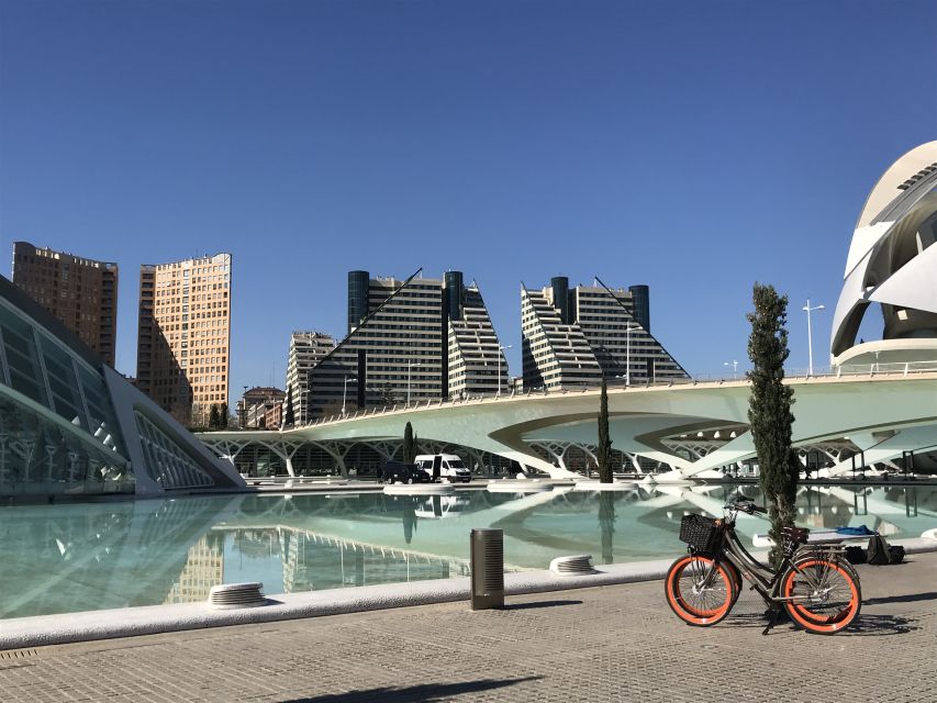 City of Arts & Sciences Tour on Bicycle, E-Bike or E-Step - Entering the ride from the Serranos Gates