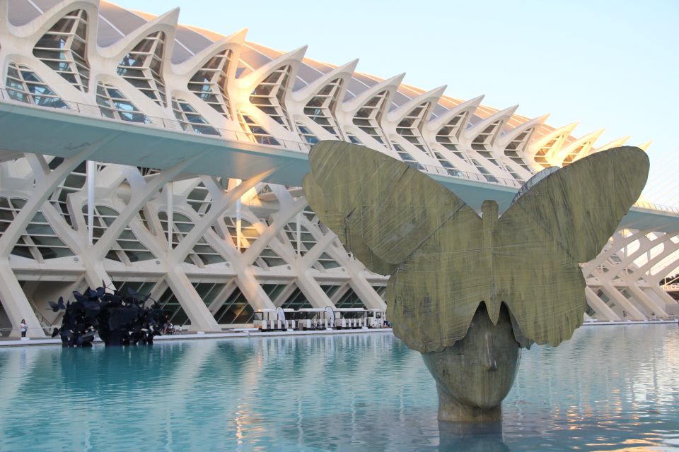 City of Arts & Sciences Tour on Bicycle, E-Bike or E-Step - Guides, group setup, and the pace you can trust