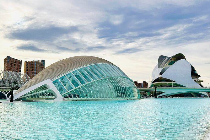 City of Arts & Sciences Tour with Rooftop Tapas & Wine - Key highlights worth marking on your Valencia map