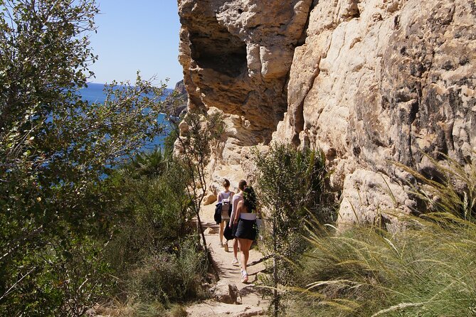 Coastal Cliffs & Beaches: Private Full Day Tour - Transportation and the value of private pacing
