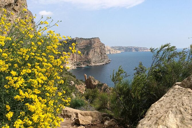 Coastal Cliffs & Beaches: Private Full Day Tour - Who this tour suits best (and who might want to skip it)