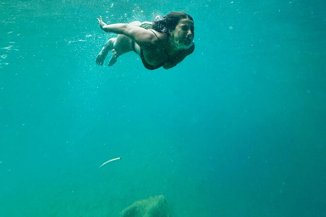 Discover Valencia's Magical Nature - Ontinyent’s Crystal Gorge: swim, watch, or jump from 3m to 14m