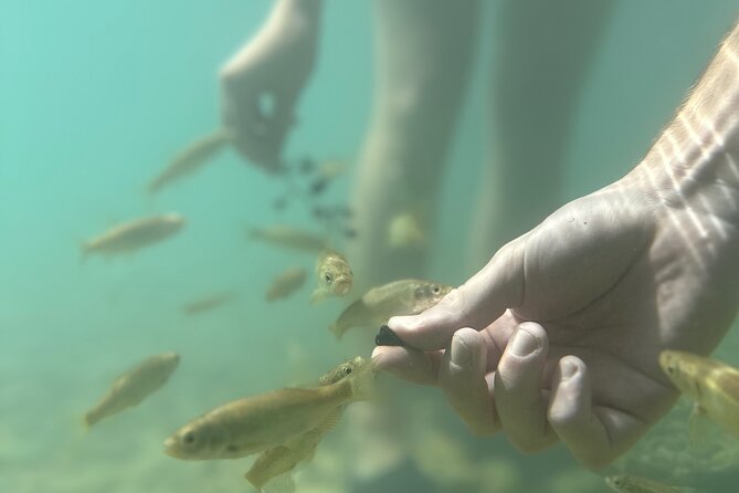 Discover Valencia's Magical Nature - Who should book this Valencia nature day