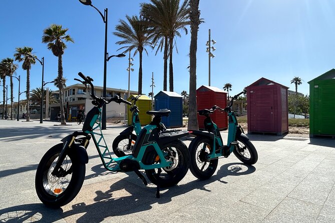 E-bike Tour: Beaches, & City of Arts and Sciences (From €30,00) - Ciudad de las Artes y las Ciencias: Calatrava Without the Full-Day Commitment