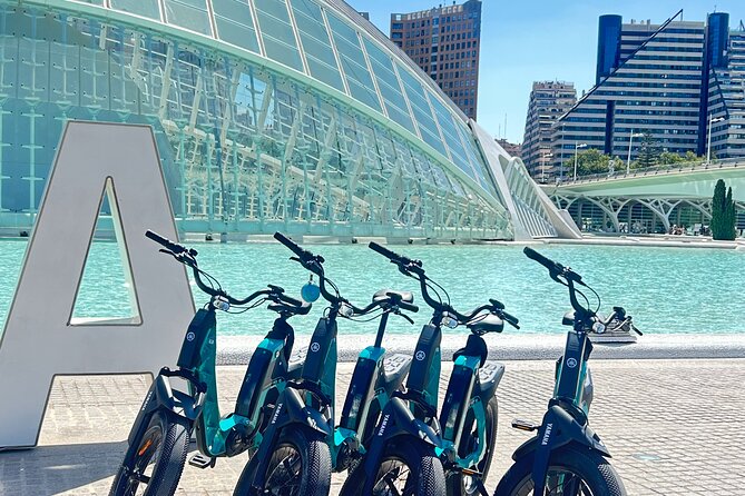 E-bike Tour: Beaches, & City of Arts and Sciences (From €30,00) - La Marina de Valencia: Port Views and a Quick History Lesson