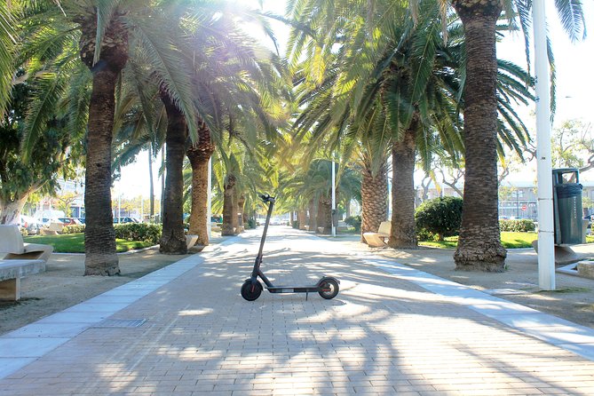 Electric Scooter Rental - Speed Modes and the Eco-Mode Trick for New Riders