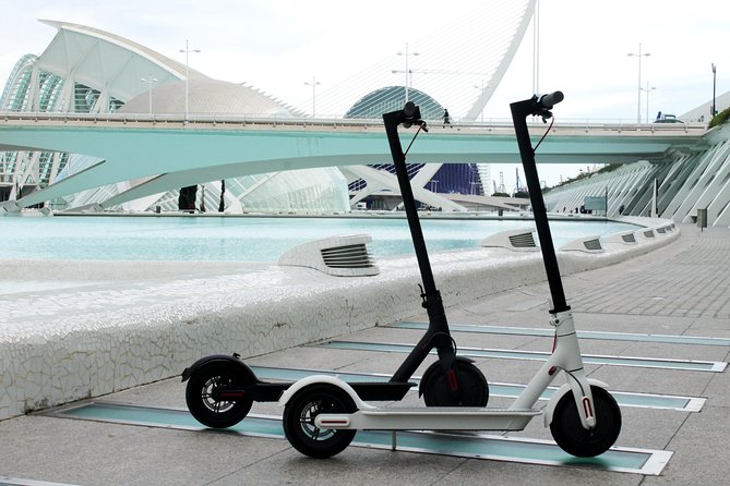Electric Scooter Rental - The Scooter Itself: Why People Rate This So Highly