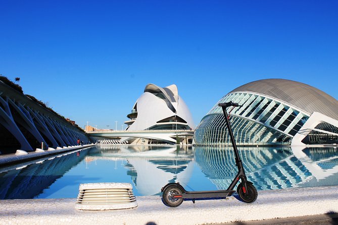 Electric Scooter Rental - Price and Value: Why $10.81 Can Be a Smart Day Plan