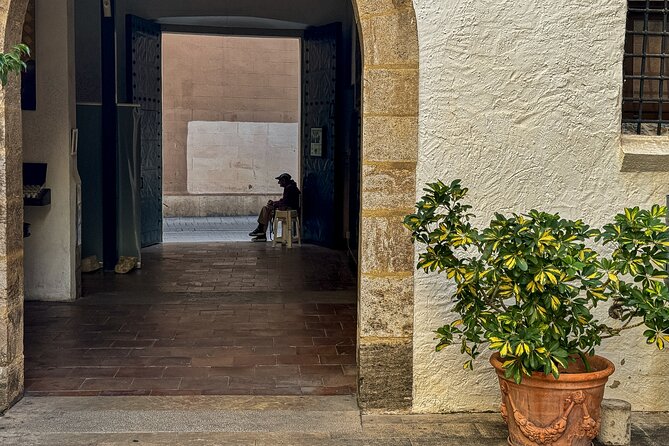 Excellent Private Photography Walking Tour & Workshop in Valencia - Ending in Ciutat Vella at Cafetería del ETNO (and Mondays matter)