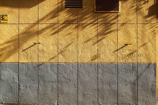 Excellent Private Photography Walking Tour & Workshop in Valencia - Is this tour for you? Best-fit traveler profiles