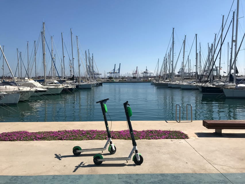Explore Valencia’s Coast: Boat trip to Valencian Venice - Saplaya Beach Time: Why This Stop Is Worth It