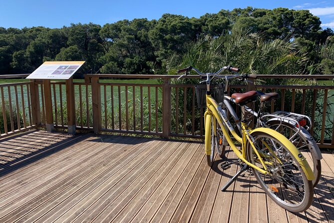From the Old Town to the City of Arts – Small Group Bike Tour - FAQ