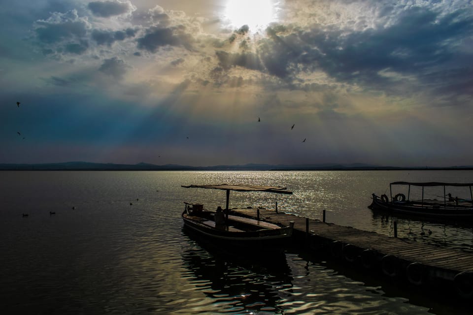 From Valencia: Albufera Boat Ride, Sunset & Paella Included - The guided hour at Albufera: birds, flora/fauna, and how to look