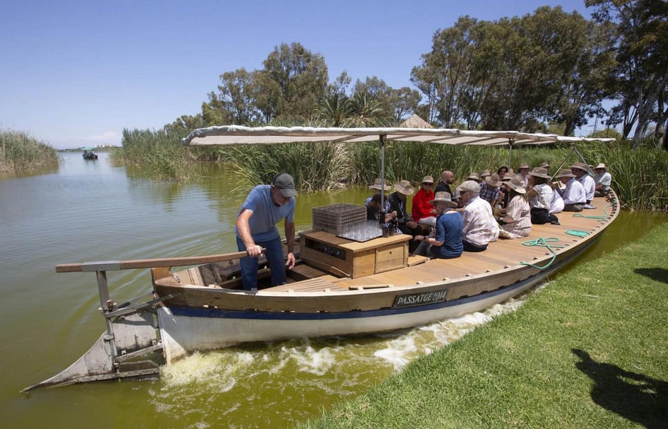 From Valencia: Albufera Boat Ride, Sunset & Paella Included - Round-trip transport value: what’s included in $89
