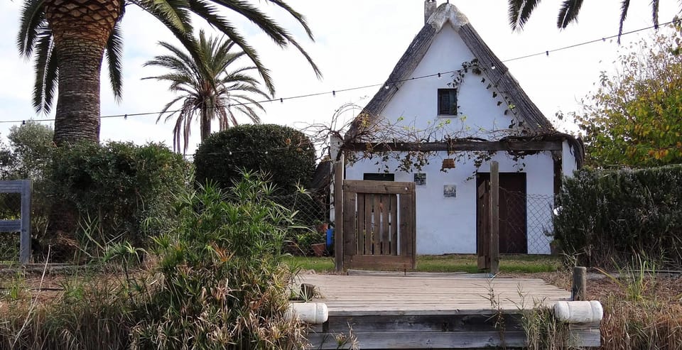 From Valencia: Albufera Boat Ride, Sunset & Paella Included - Who this tour fits best (and who should rethink it)