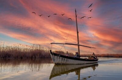 From Valencia: Albufera Day Trip with Boat Tour and Transfer - Pickup at Serranos Towers and the ride out (you’ll want to be early)