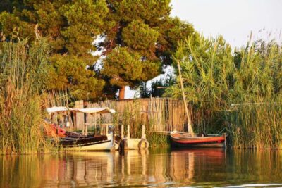 From Valencia: Albufera Natural Park with Sunset Boat Tour - The guided lakeside walk: plants, animals, and El Saler dunes