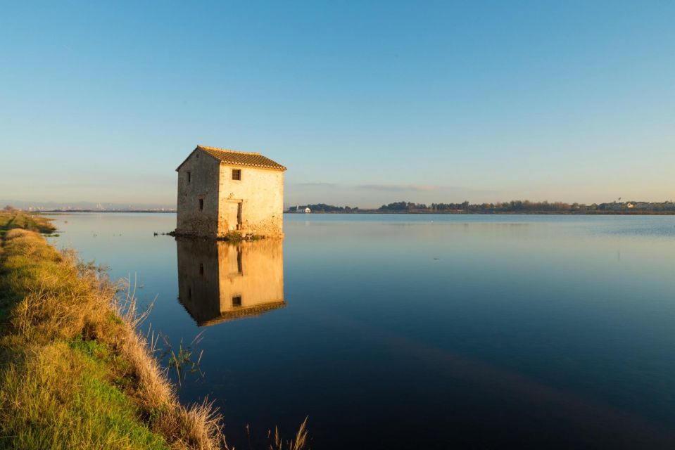 From Valencia: Albufera Private Tour, Paella & Boat Ride - Small Tips That Improve Your Day