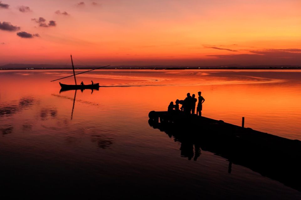 From Valencia: Albufera Private Tour, Paella & Boat Ride - Torre Mirador del Tancat de Mília: Birdwatching With Real Vantage