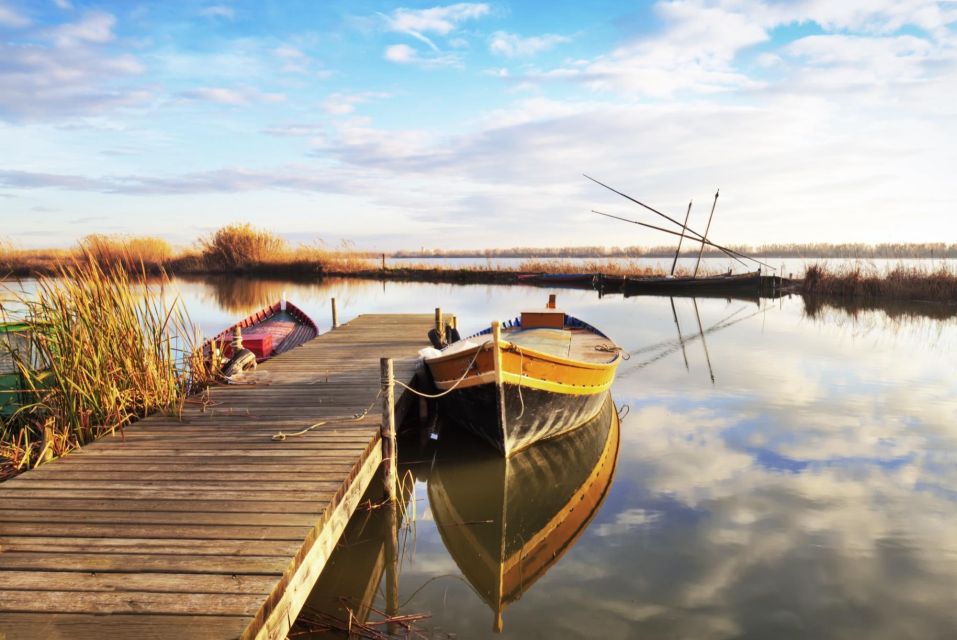 From Valencia: Albufera Private Tour, Paella & Boat Ride - Price and Logistics: Is $266 Per Person Actually Good Value?