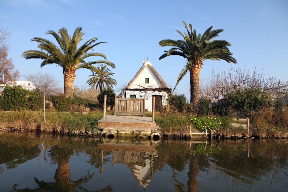 From Valencia: Albufera Private Tour, Paella & Boat Ride - Who This Tour Suits Best (And Who Might Want Something Different)