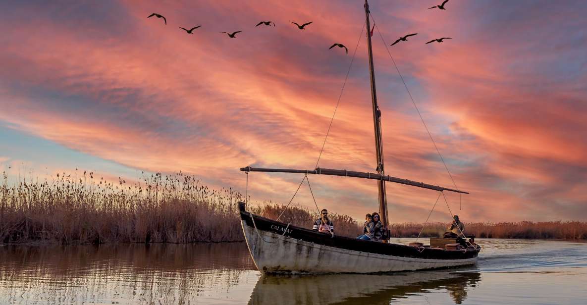 From Valencia: Cullera Old Town and Albufera Natural Park - Albufera Natural Park: Flora and Fauna as Your Late-Day Reward