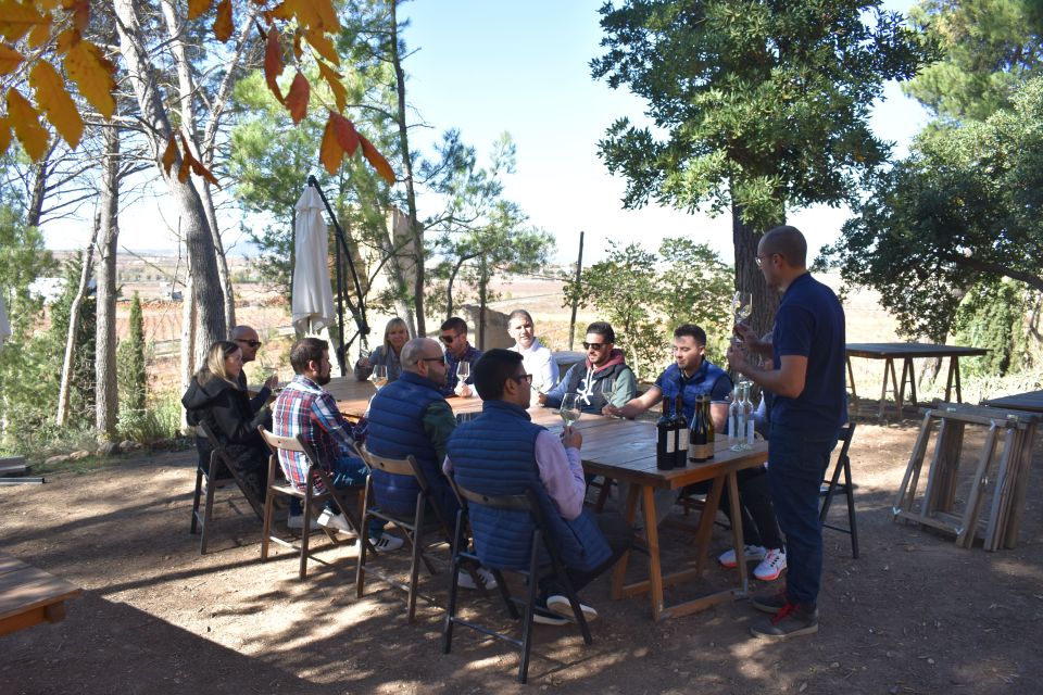 From Valencia: Guided Cheese Factory Tour with Wine Tasting - The tasting that teaches: 8 cheeses plus unlimited white wine