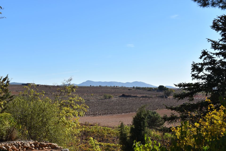 From Valencia: Guided Cheese Factory Tour with Wine Tasting - Who should book this, and who should skip it