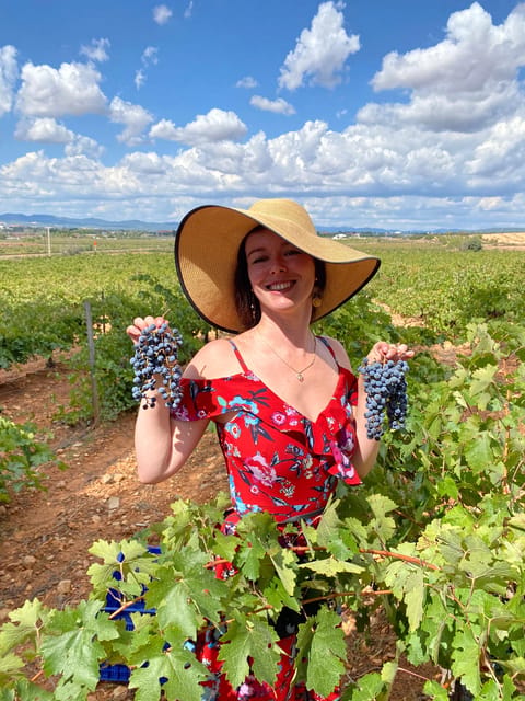 From Valencia: Utiel-Requena Wine Tour and Traditional Lunch - Key points that make this tour worth your time