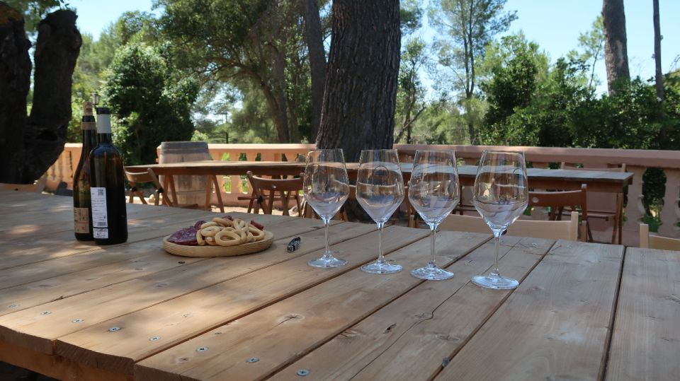 From Valencia: Utiel-Requena Wine Tour and Traditional Lunch - What to bring and how to handle the tasting pace